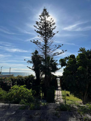 Gran Jardín frente al mar, Rincon De La Victoria